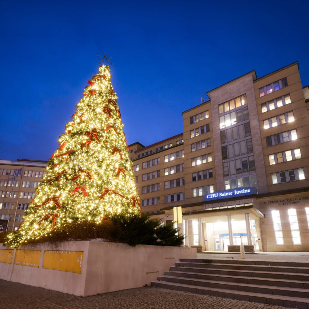 Un grand sapin illuminé devant un édifice. 