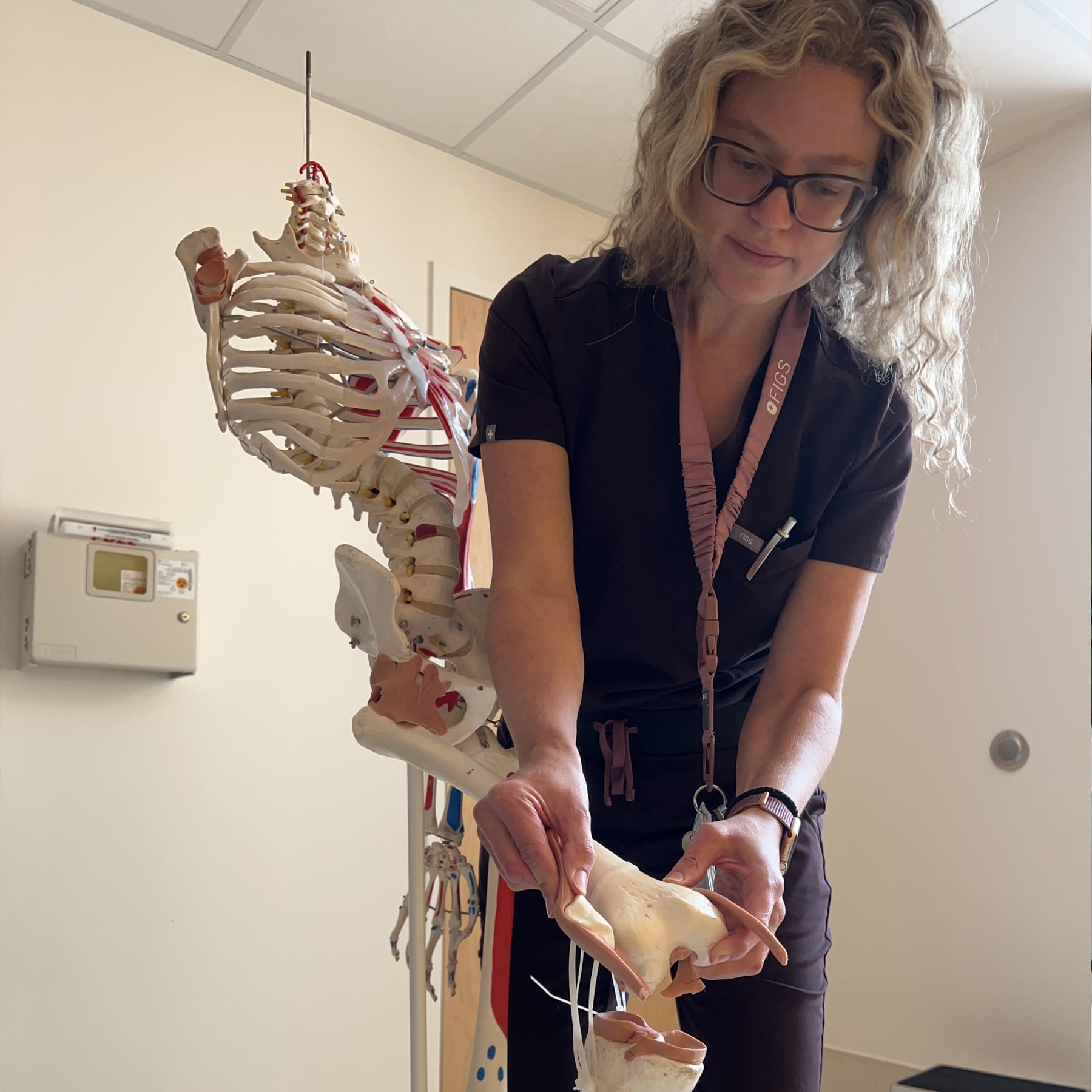 Une docteure manipule une partie d’un modèle de squelette anatomique. 