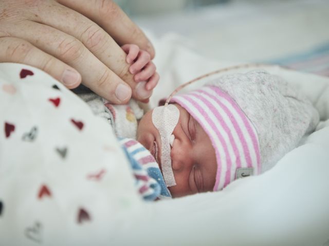 A premature baby holds an adult's hand.